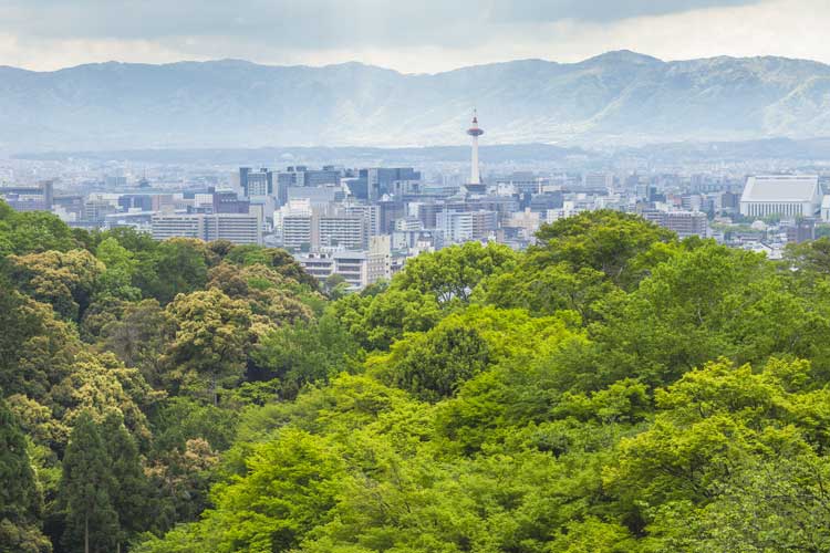 香山最美紅葉徒步團(tuán)建路線(xiàn)