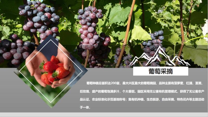 瑪萊特紅酒莊園